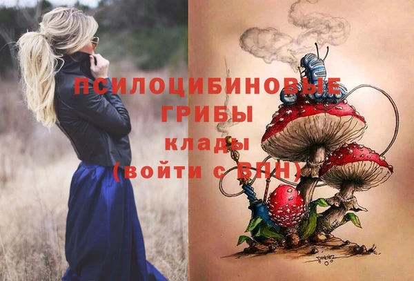 гашик Алексин