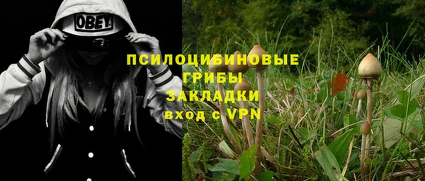 гашик Алексин