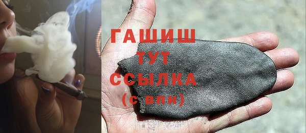 гашик Алексин