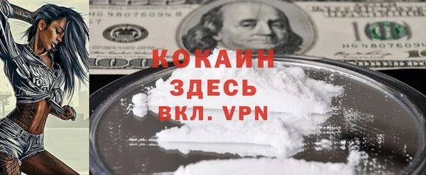 ГАЛЛЮЦИНОГЕННЫЕ ГРИБЫ Касимов
