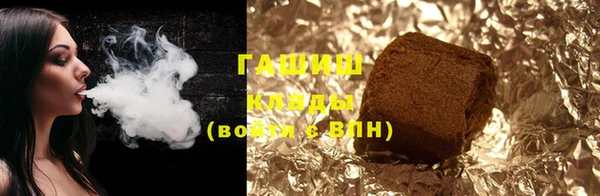 гашик Алексин