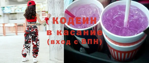 гашик Алексин