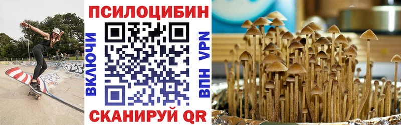 Псилоцибиновые грибы Psilocybine cubensis  где найти   Орлов 